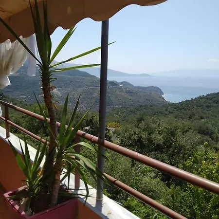 Maria Luxury 