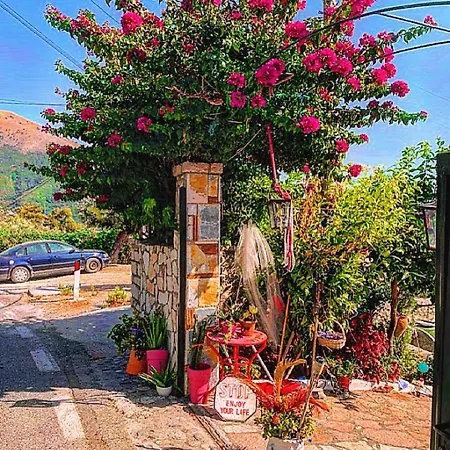 Lejlighed Maria Luxury 