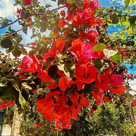 Apartmán Maria Luxury 